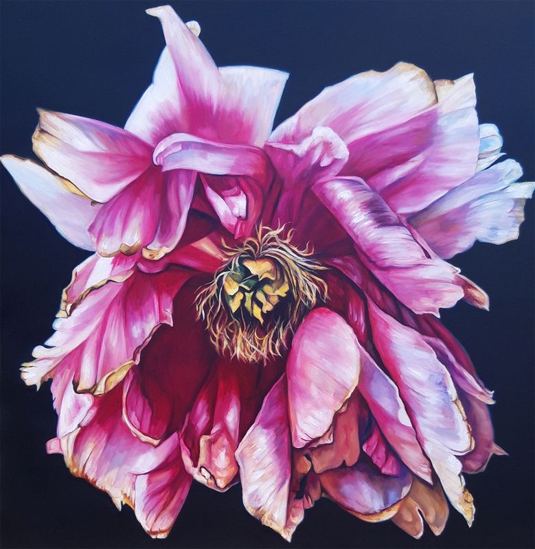 A vibrant painting of a large, pink peony with detailed petals against a dark background. By Greer Ralston